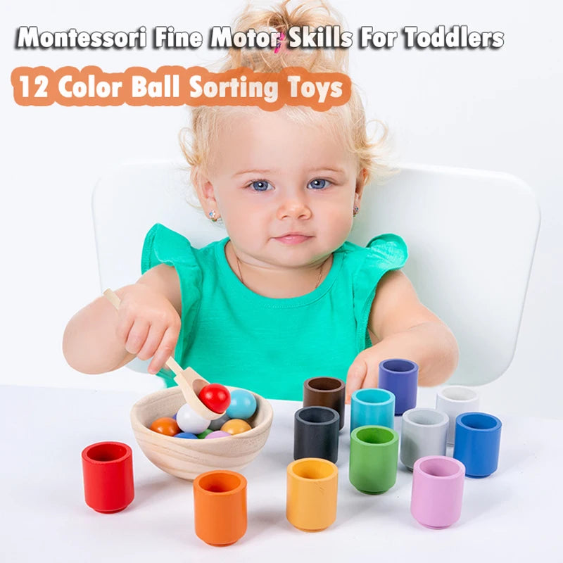 The Moka Baby™ Montessori Colour Sorting Cups for Toddlers